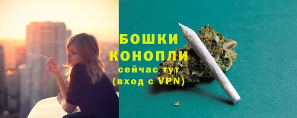 ешки Дмитриев