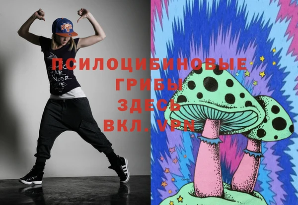 не бодяженный Дмитров