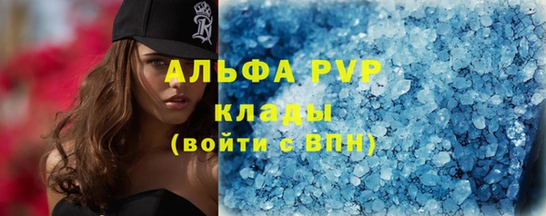 ешки Дмитриев