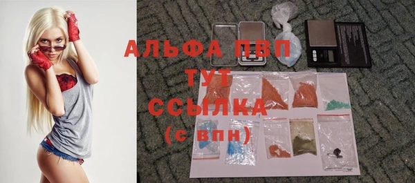 не бодяженный Дмитров
