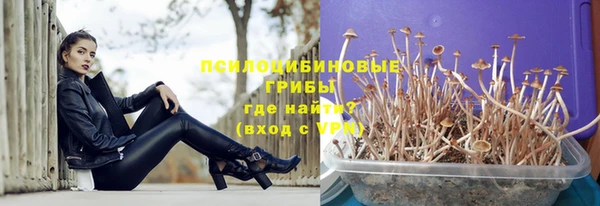 трава Зеленокумск