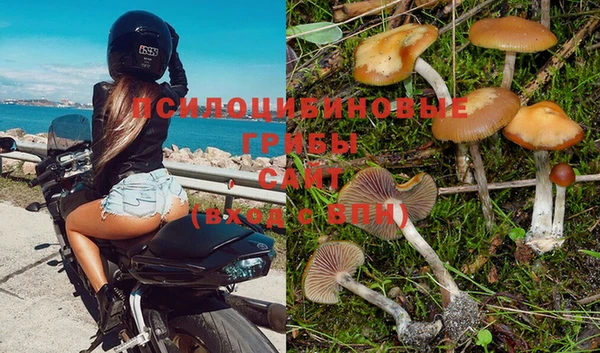 не бодяженный Дмитров